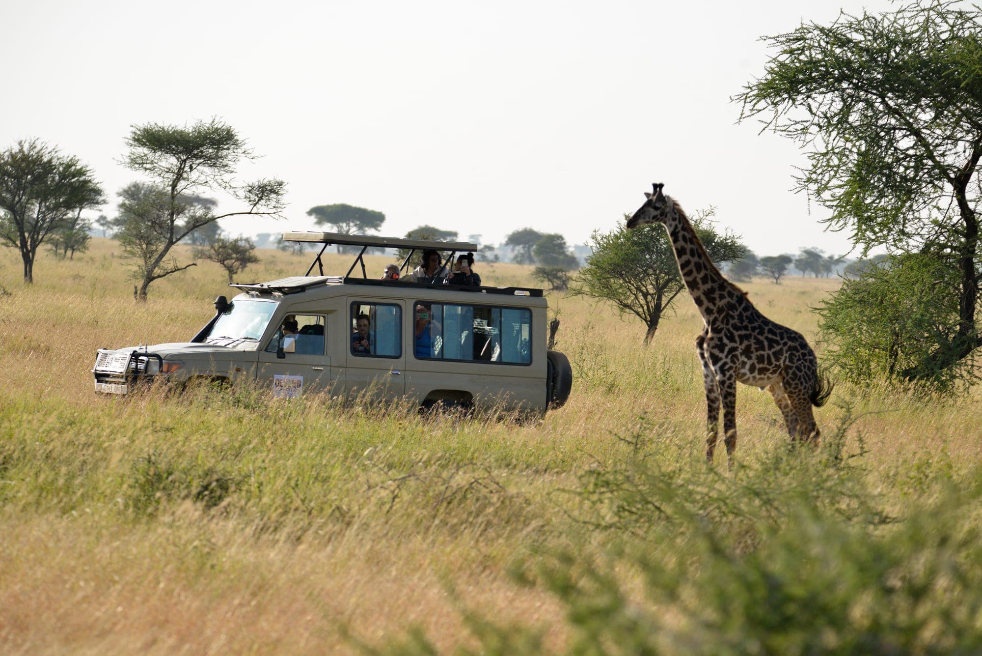 Before You Go: Free Tools For Insurance, Documents & Budgeting Your Tanzania Safari